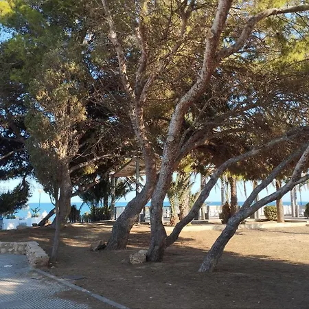 Apartament Marsol Recoleta Torrevieja