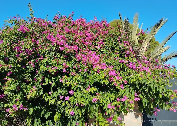 Marsol Recoleta Апартаменты Торевьиа